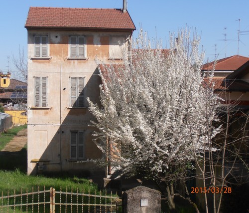 CASA INDIPENDENTE VENDO