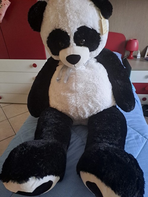 Panda gigante 